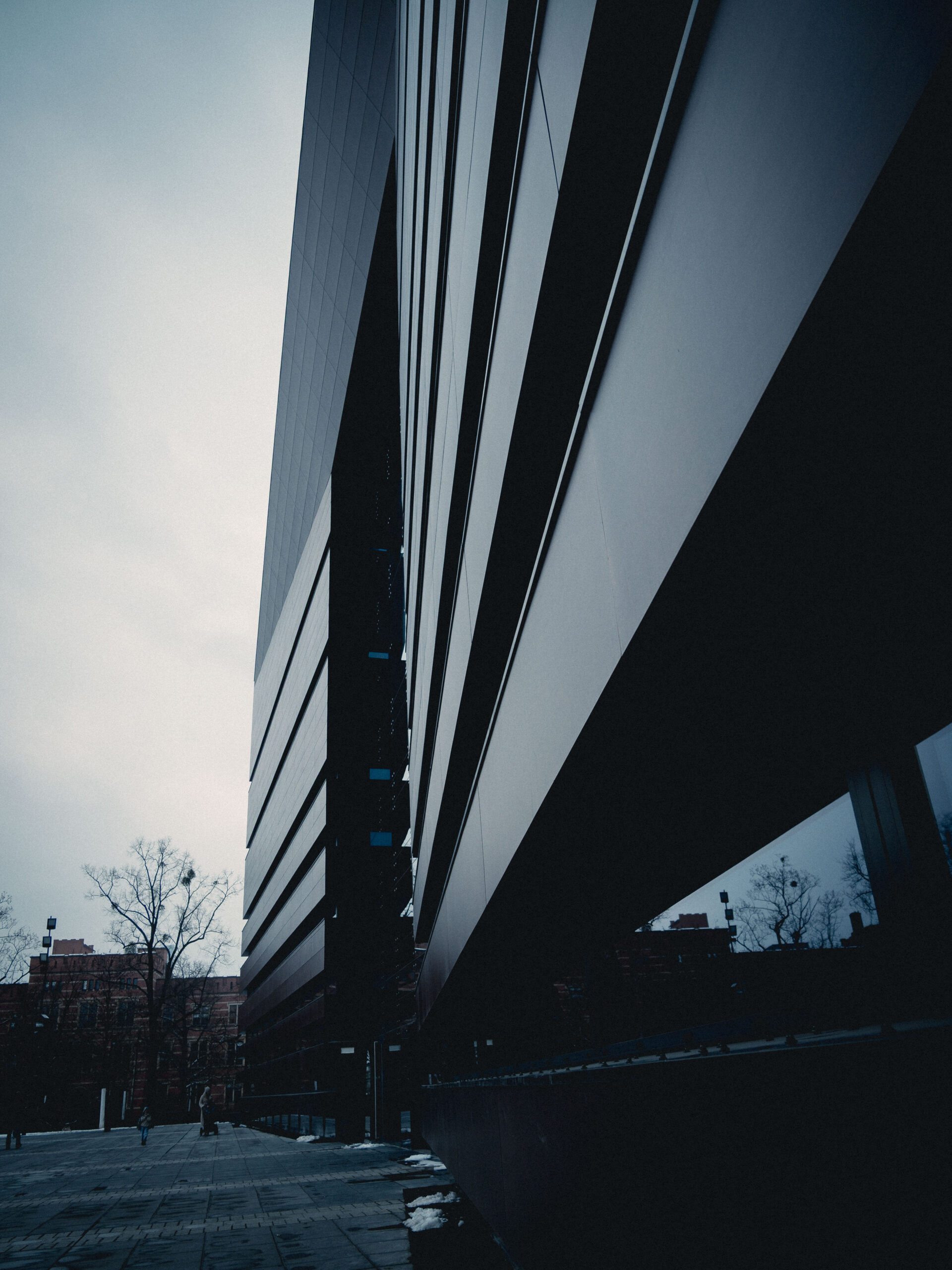 Director of Photography Berlin - 6K Digital Asset Creation setup